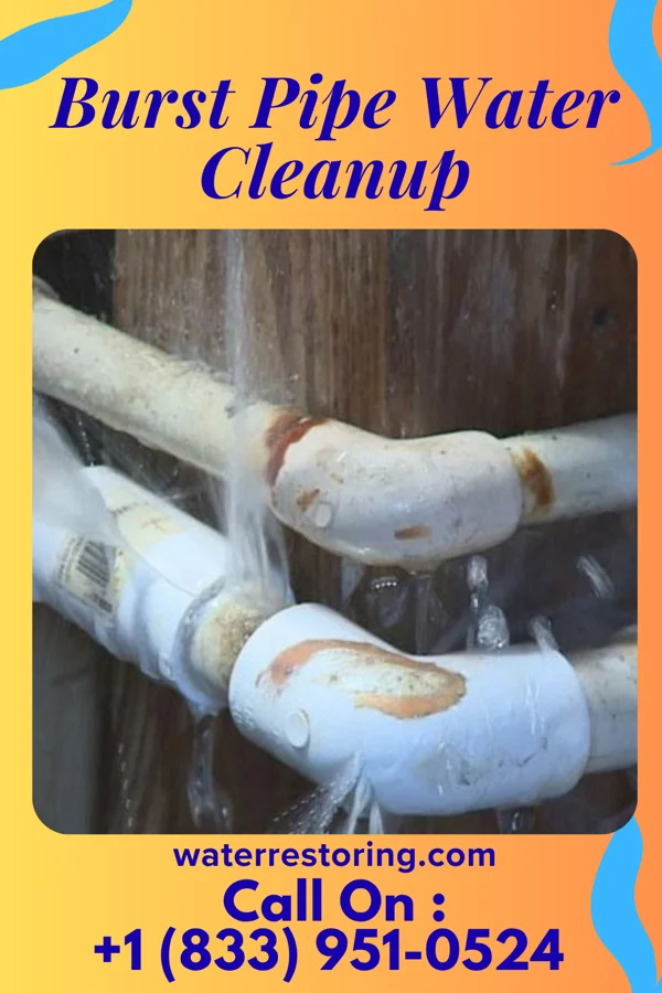 Burst Pipe Water Cleanup in Waynesville, OH