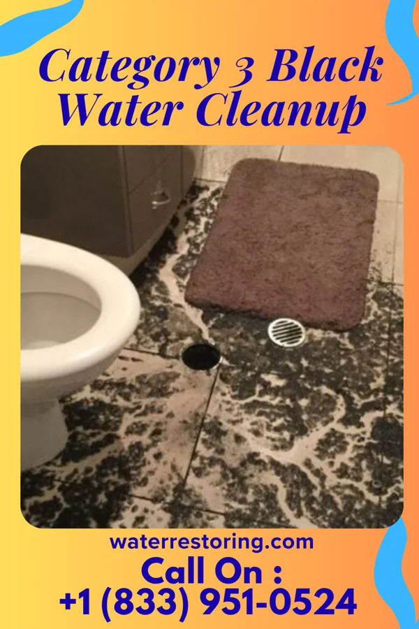 Category 3 Black Water Cleanup in Waynesville, OH